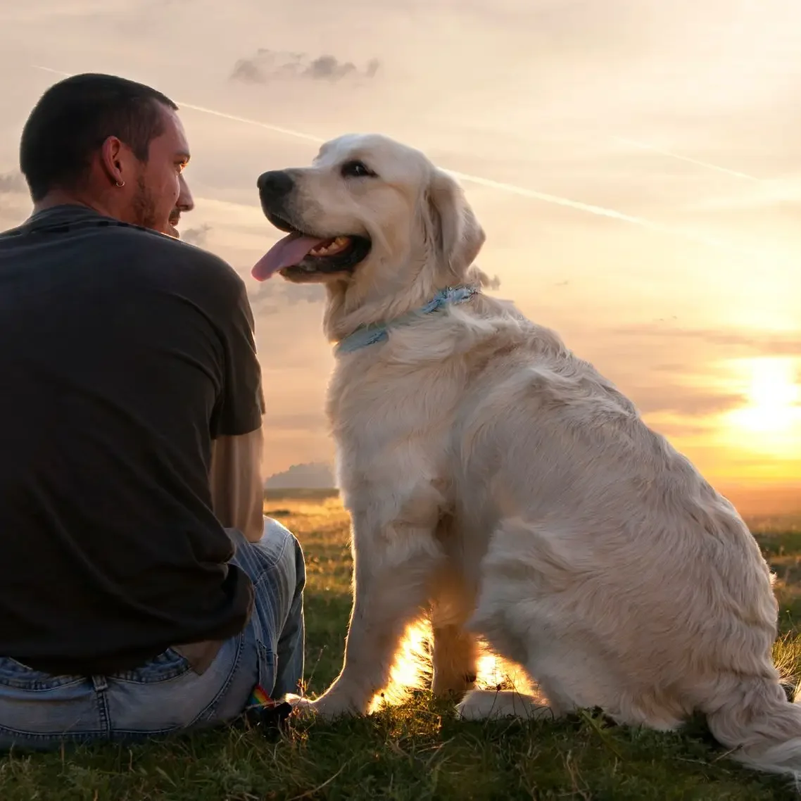 Hombre sentado junto a un perro golden retriever al atardecer.